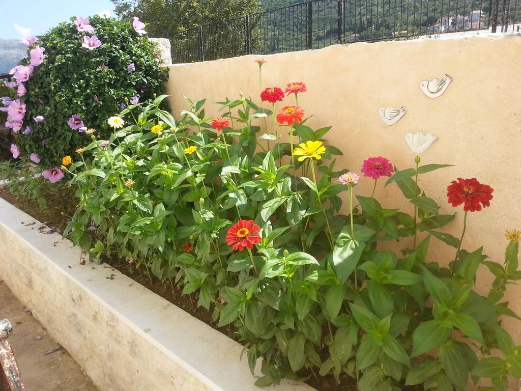 Apartment Mare S Mora Mokošica Exterior foto